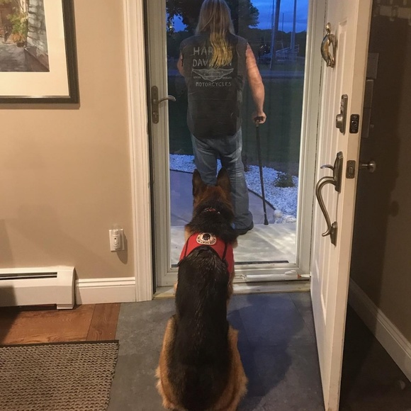 T-shirt Justice For "TT" The Service Dog - Picture 4 of 8